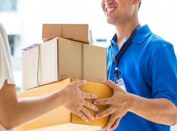 Domestic Courier Service in Delhi